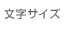 文字サイズ